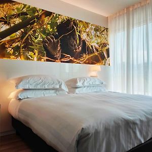 Standaard Kamer met een King Size Bed